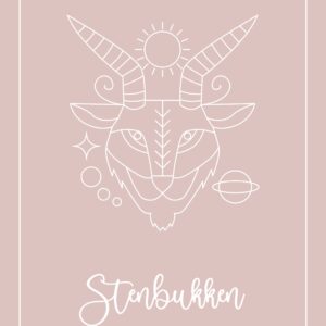 STJERNETEGN STENBUKKEN PLAKAT (21.12 - 19.01) - 30x40 / Lyserød