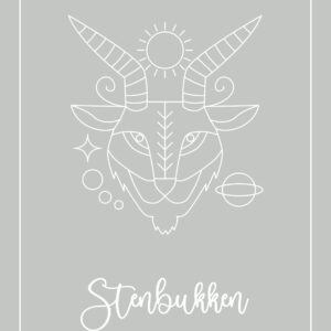STJERNETEGN STENBUKKEN PLAKAT (21.12 - 19.01) - 30x40 / Lysegrå