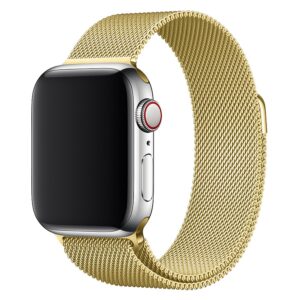Lippa Apple Watch Rustfri Stålrem 38/40/41 - Guld