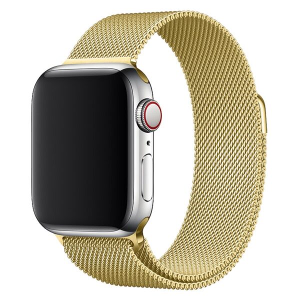 Lippa Apple Watch Rustfri Stålrem 38/40/41 - Guld