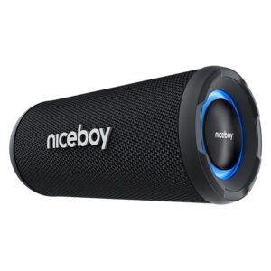 Niceboy RAZE Origin 5 20W trådløs højttaler